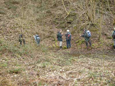 14_frith_quarry.jpg
